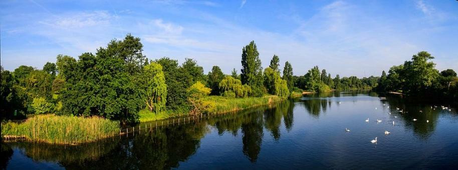 Chelsea Apartments London Ngoại thất bức ảnh